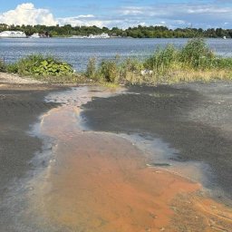 Вода Клязьминского водохранилища опасна для жизни: результаты анализа вызывают тревожную реакцию